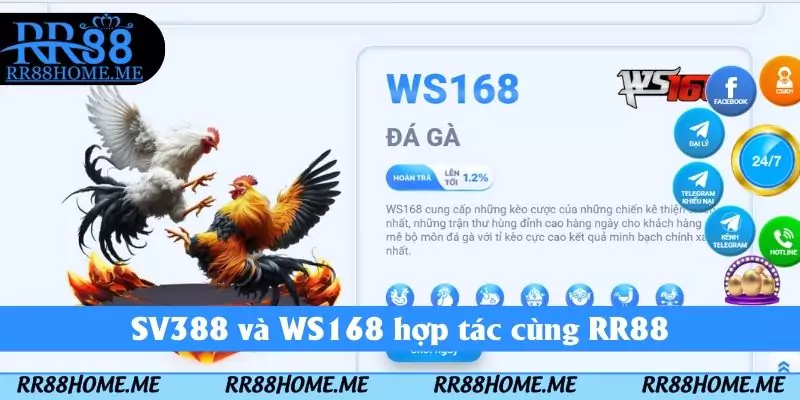 SV388 và WS168 hợp tác cùng RR88